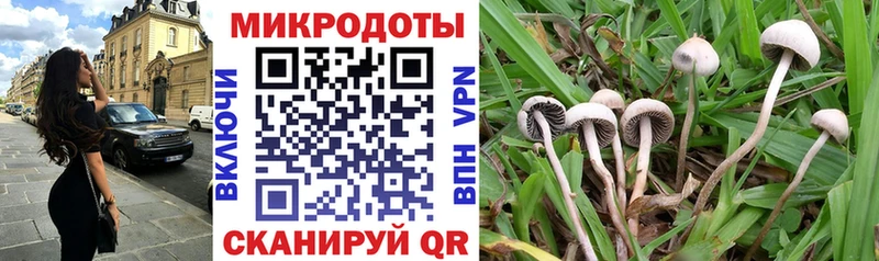 Псилоцибиновые грибы мицелий Ливны