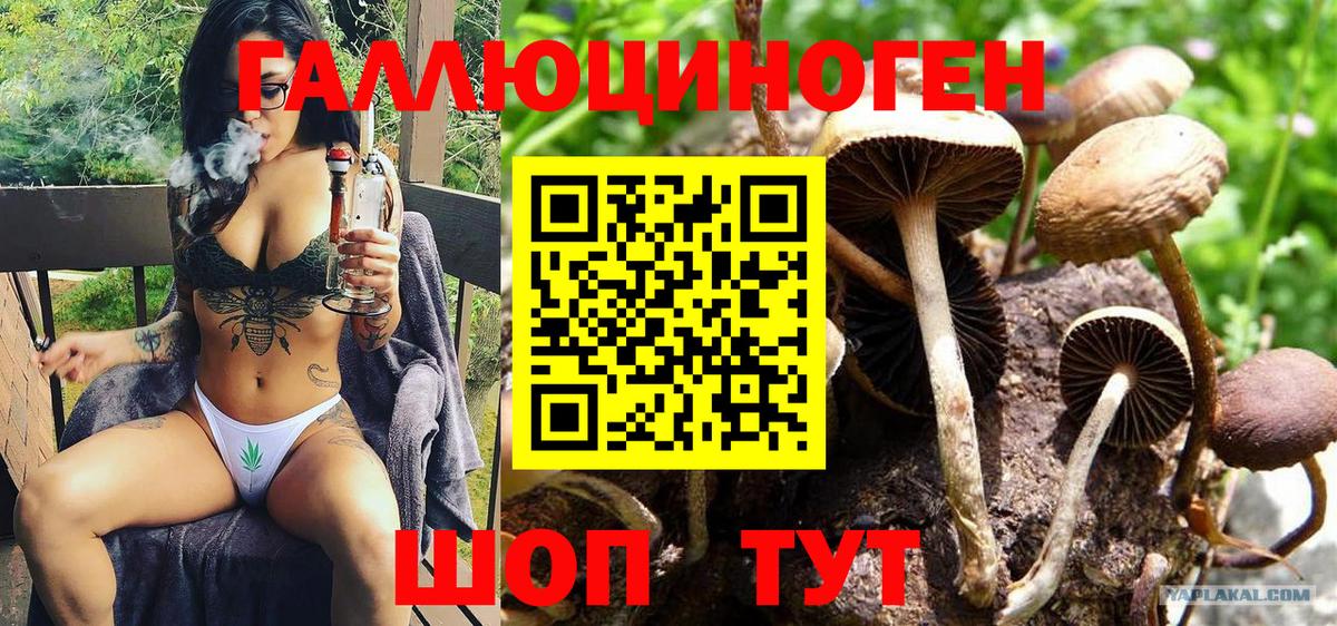 Ливны  Псилоцибиновые грибы Cubensis  Псилоцибиновые грибы GOLDEN TEACHER  Вход с VPN 